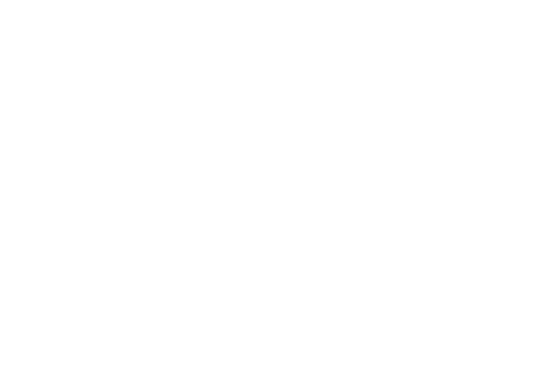 not-a-number_logo